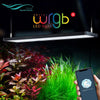 Chihiros WRGB II 60 cm LED (60-80 cm, 67 W, 4500 lm) - Aquatia