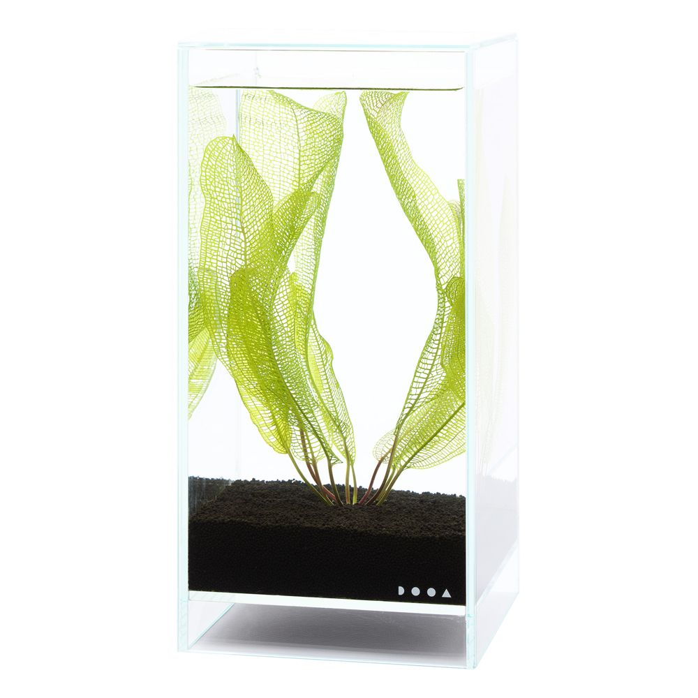 DOOA Neo Glass AIR 20x20x35 cm DOOA